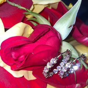 Simulated Diamond Inside Out Hoop Earrings in Silvertone